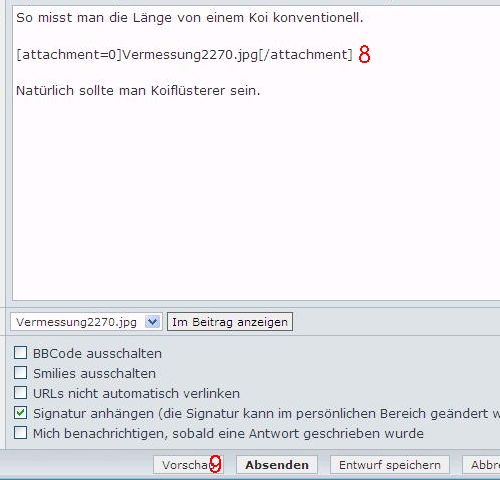 Bild in ein Forum einfügen