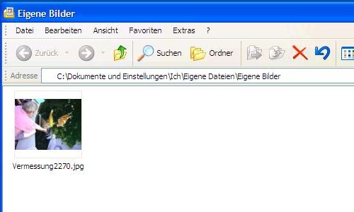 Bild in ein Forum einfügen