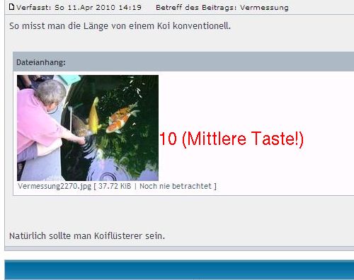 Bild in einem Forum zeigen