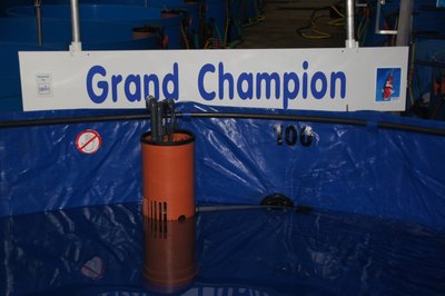 Grand Champion.jpg