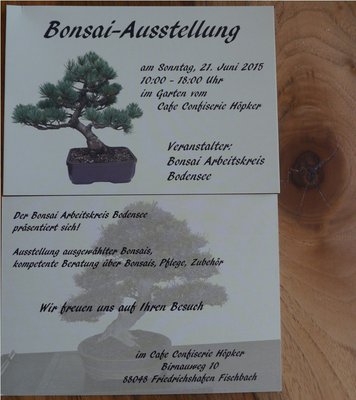 2015-05-28 Bonsai - Ausstellung 003.JPG