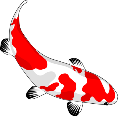 fish-159327_1280.png