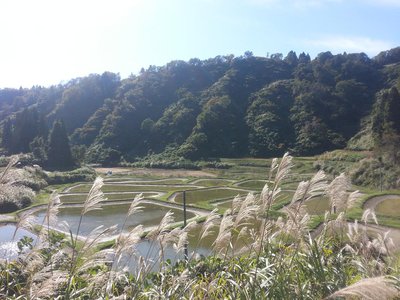 Mudponds wo hin man schaut.jpg