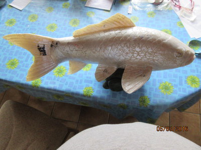 deko fische 003.jpg