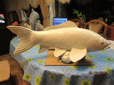 deko fische 012.jpg