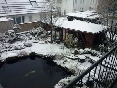 schnee feb (1).jpg