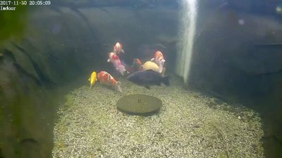 C 1 Underwater_2017-12-02_090911.jpg