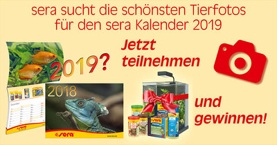 Kalender-Aktion-2019-facebook_DE.jpg