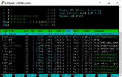 Raspi-neu.jpg