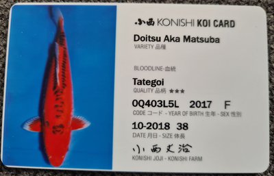 Aka Matsuba ID Card.JPG