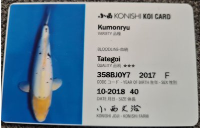 Kumonryu ID Card.JPG