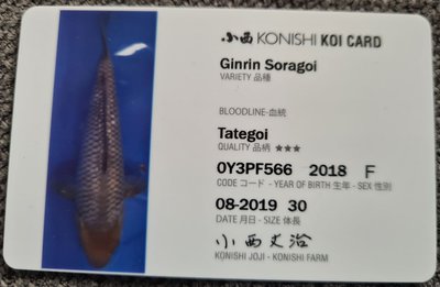 Ochiba GinRin ID Card.JPG