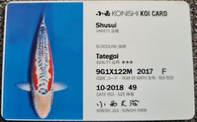 Shusui ID Card.JPG