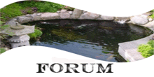 Link zur Hauptseite des Forums