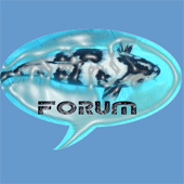 Forum