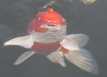 Benutzeravatar