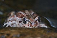 2012 08 14 006.jpg
