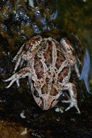 2012 08 14 008.jpg