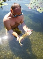 100_2981.JPG
