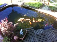 IMG_2566.JPG