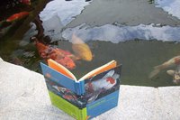 100_6787.jpg