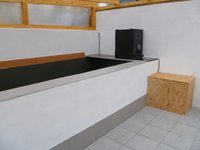 P1050029.JPG