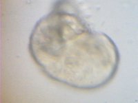 2012_09_09_20_32_44_271.jpg