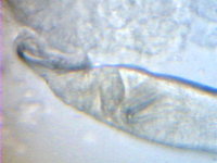 PDVD_000.jpg