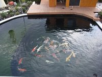 tn_aa 005.jpg