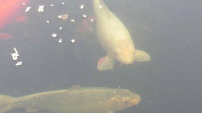 IMG_1879.JPG