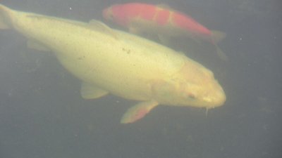 IMG_1877.JPG