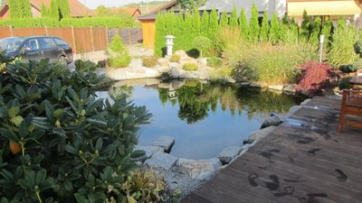 IMG_1884.JPG