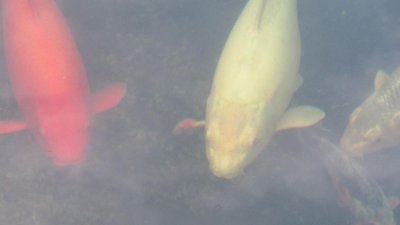 IMG_1893.JPG