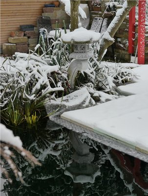 2012-10-28 erster Schnee 2012 014.JPG