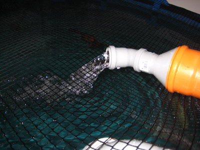 IH-LH 001.JPG