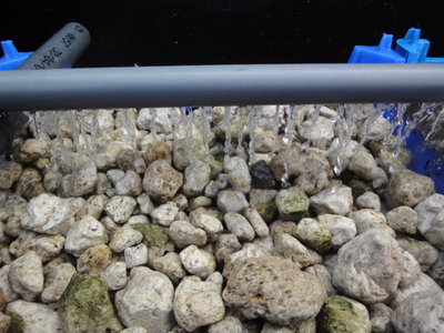 Rieselfilter 10-2012 001.jpg