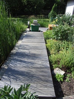 tn_Teich Sommer 2011 (8).jpg