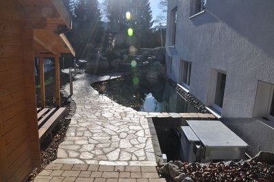 DSC_3553_klein.jpg