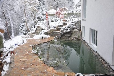 DSC_2977_klein.jpg
