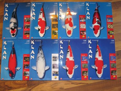 IMG_2803 (Medium).JPG