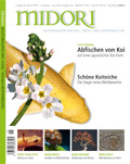 MIDORI1810.jpg
