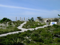 PICT1435.JPG