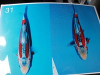 19.06.2010 068-1.jpg