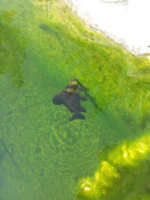 20120812_101732.jpg