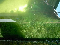 PICT1454.JPG