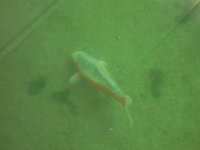 PICT1463.JPG