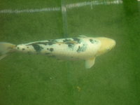PICT1466.JPG