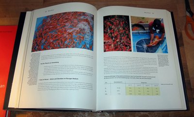 IMG_7080.jpg