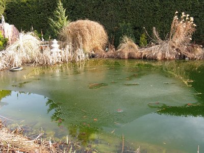 IMG_1410.jpg