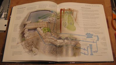 IMG_7107.jpg